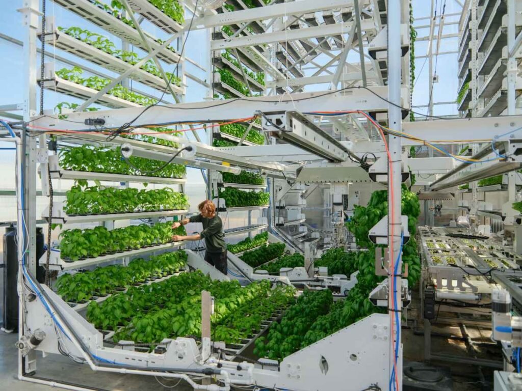 Canopii looks to succeed where past indoor farms have not