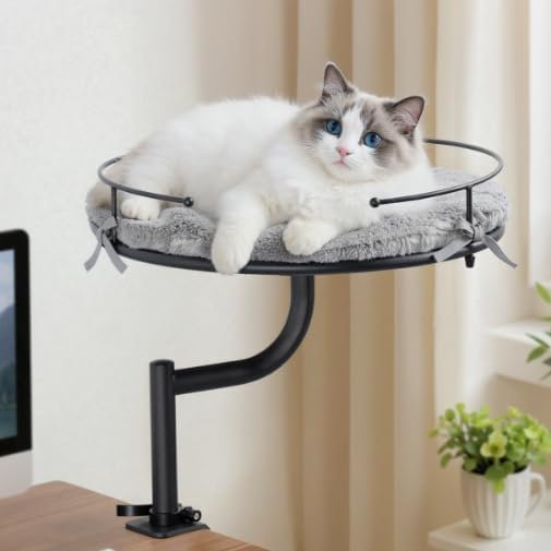 Cat Desk Bed, 360°Rotation & Height Adjustable Cat Bed for Desk Holds up to 40lbs, Machine-Washable Plush Cover | Cat Bed Desk Clamp-on mount, Washable Plush Cover, Metal Frame, 16″ Platform, Home Office Use Cat Desk Bed, 360°Rotation & Height Adjustable Cat Bed for Desk Holds up to 40lbs, Machine-Washable Plush Cover | Cat Bed Desk Clamp-on mount, Washable Plush Cover, Metal Frame, 16″ Platform, Home Office Use