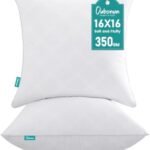 Oubonun 16 x 16 Throw Pillow Inserts Set of 2, Firm and Fluffy Decorative Pillows Inserts, Square Interior White Cushion for Couch Bed Sofa